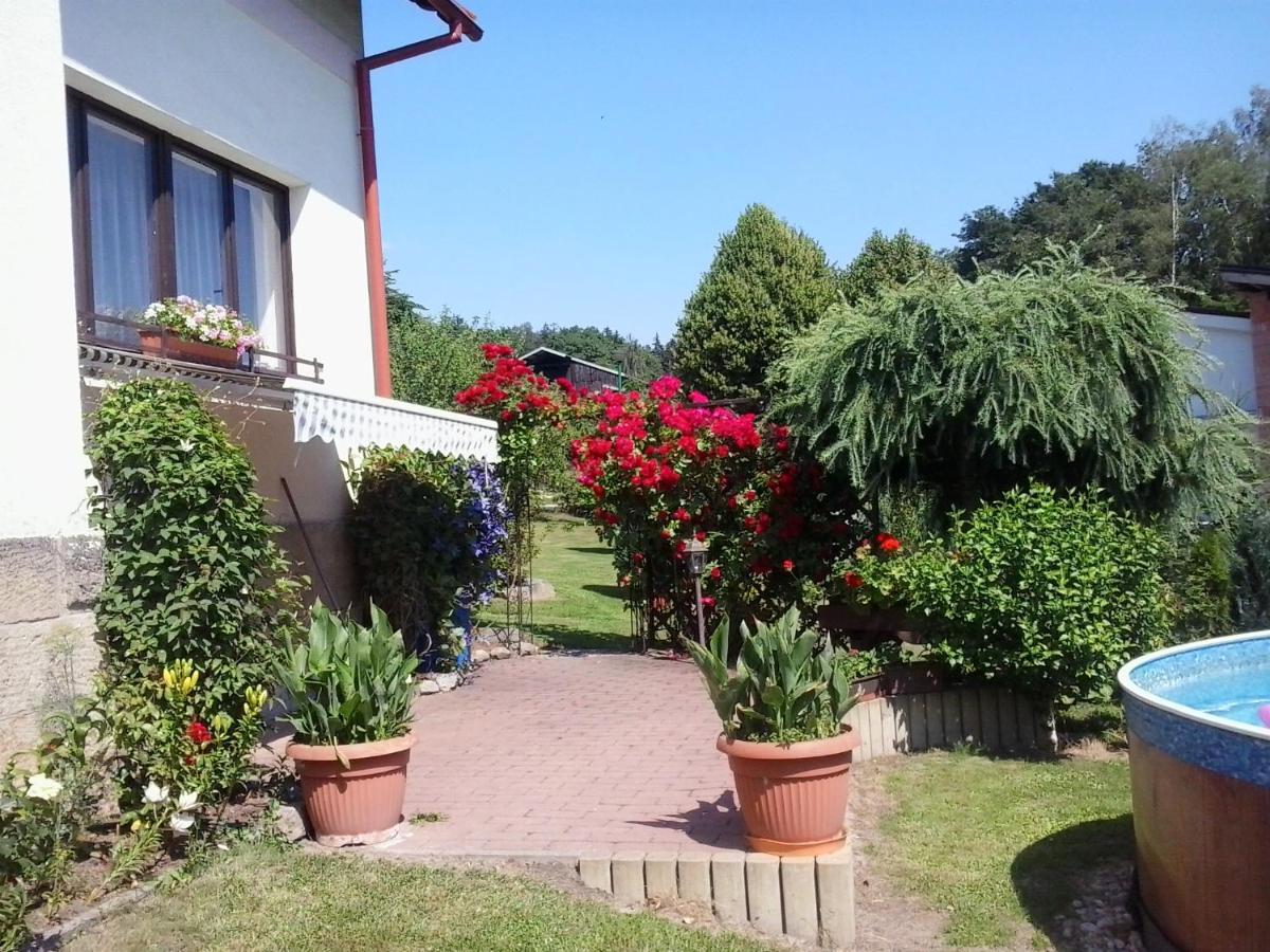 Apartment U Josefa